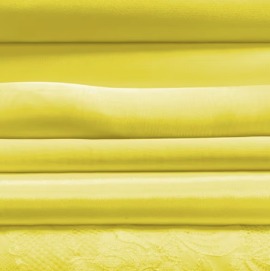 Sassy Yellow