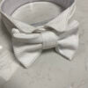 Pure Class - Collar