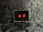 Juvenile Flower Earring