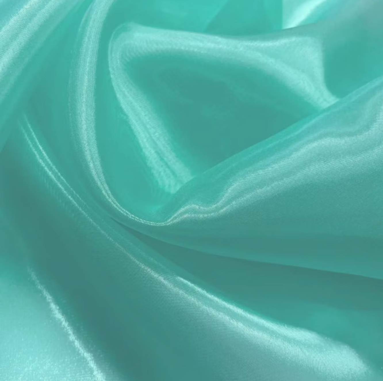 Chrisanne Clover Crystal Organza