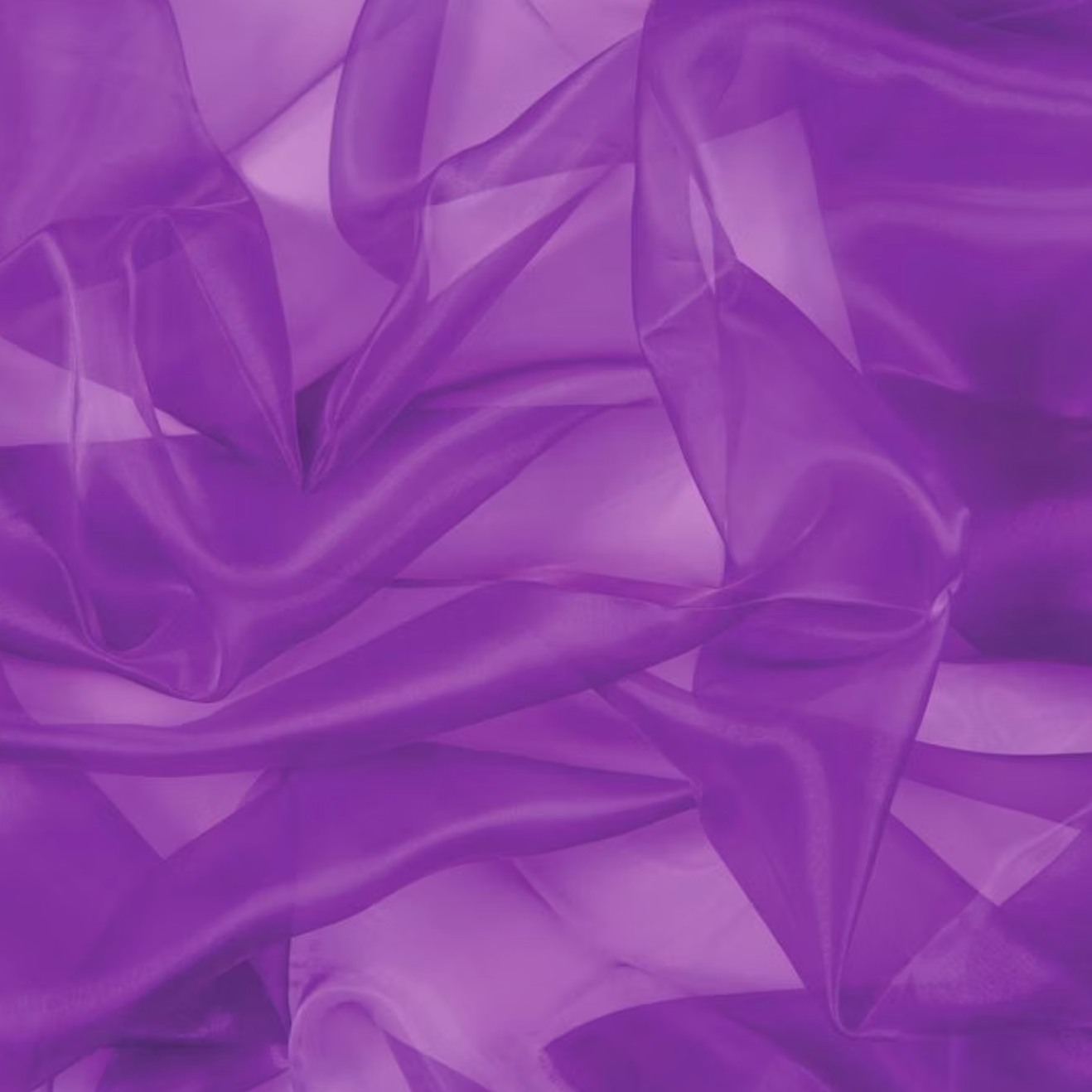 Chrisanne Clover Crystal Organza