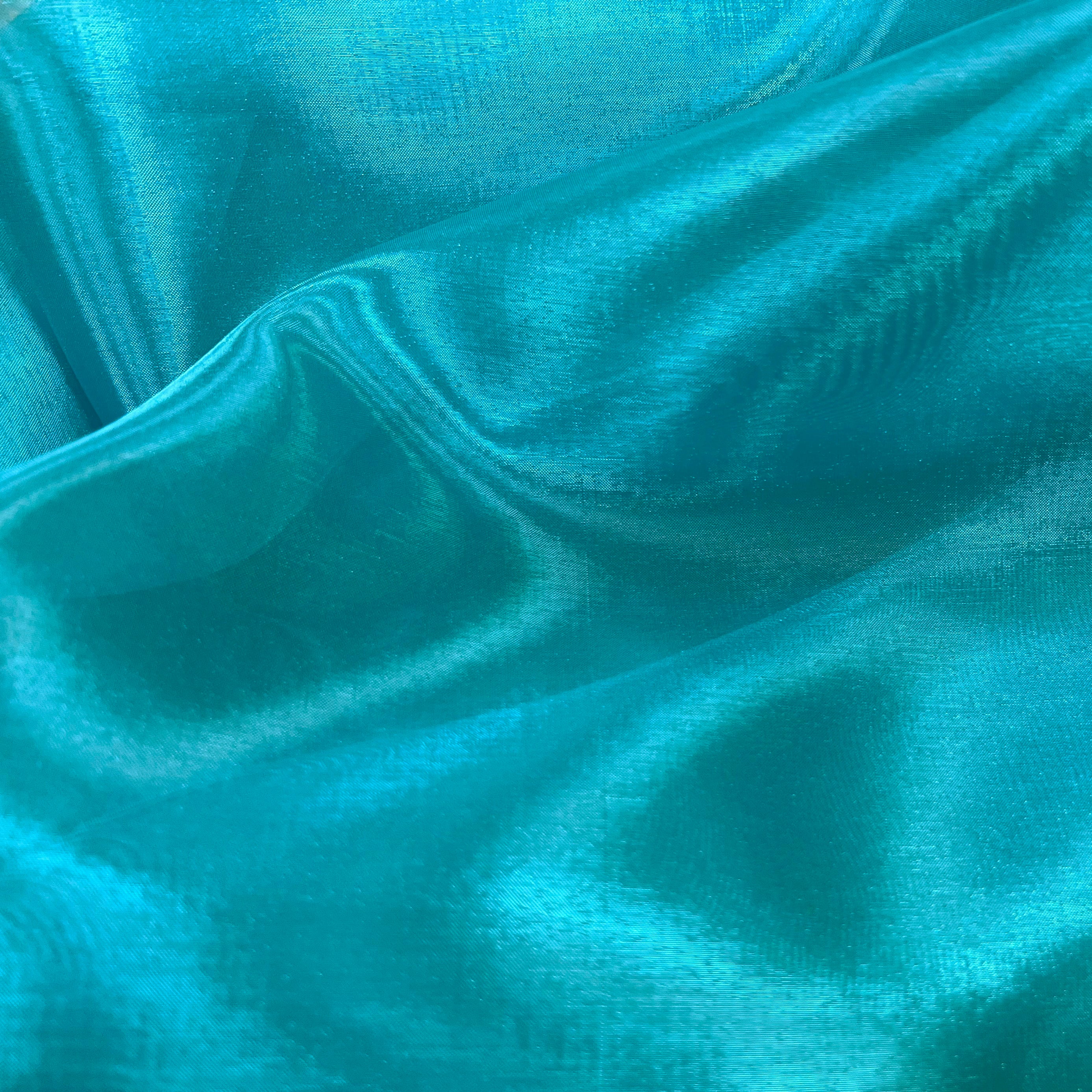 Chrisanne Clover Crystal Organza