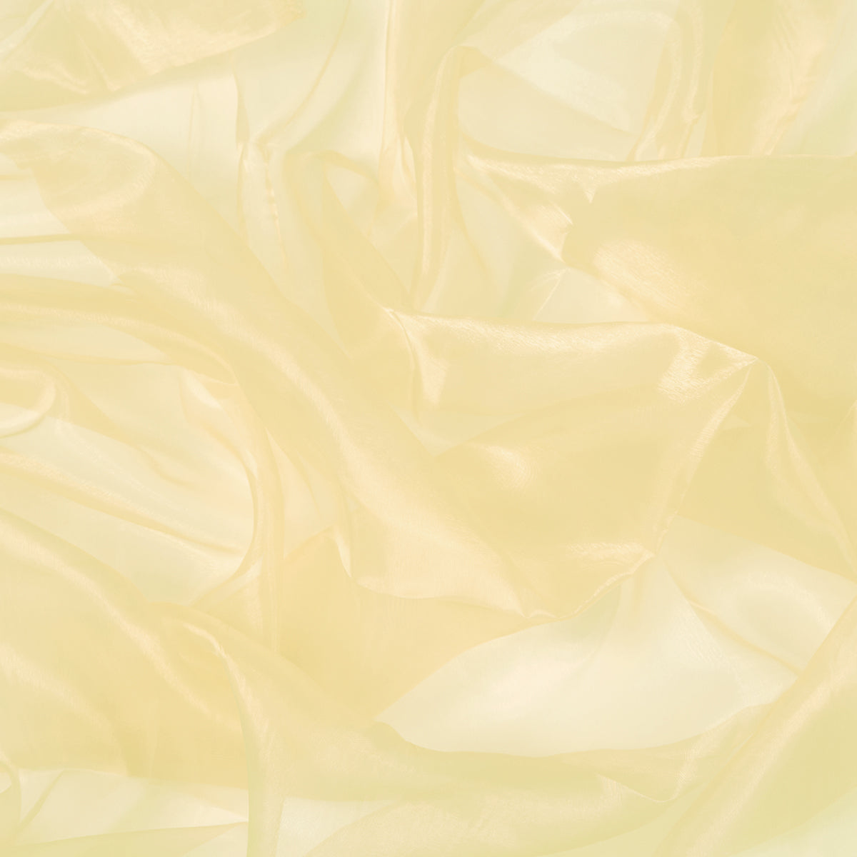 Chrisanne Clover Crystal Organza
