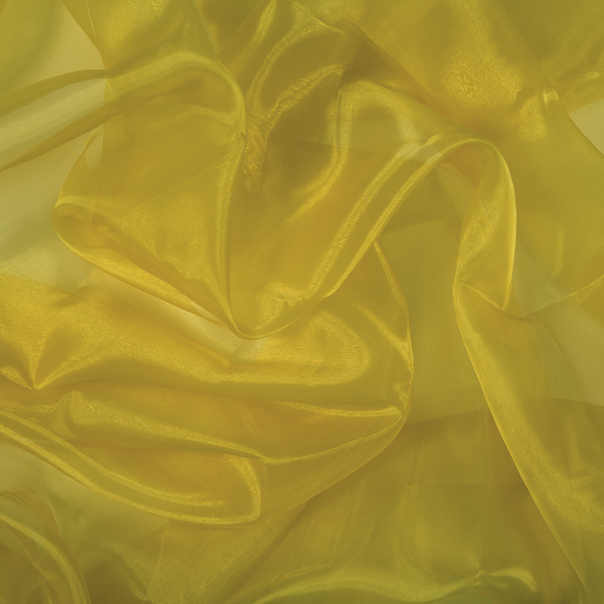 Chrisanne Clover Crystal Organza