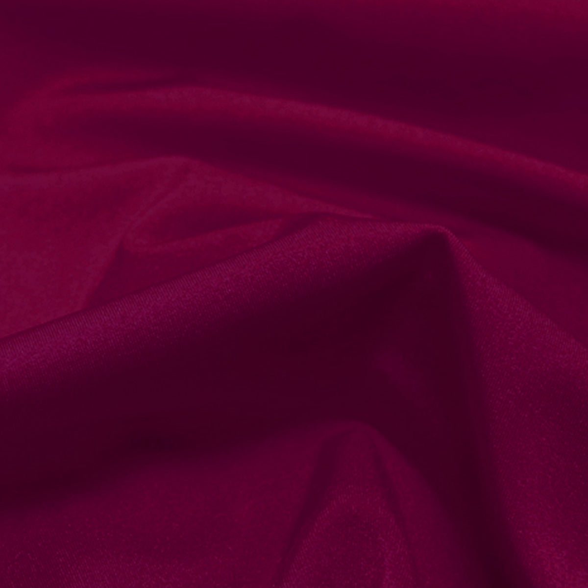 Chrisanne Clover Lustre Lycra